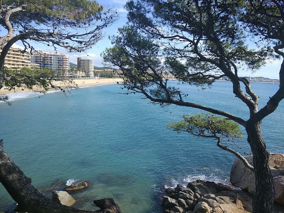 Casa en venta en Sant Antoni de Calonge