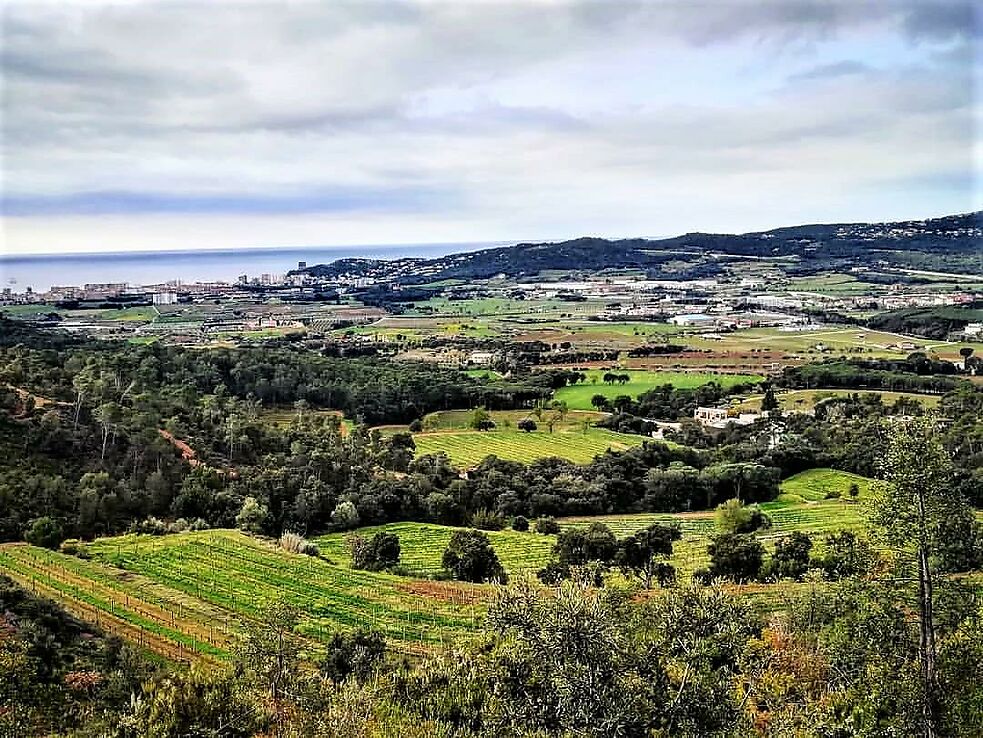 Maison neuve à vendre à Calonge