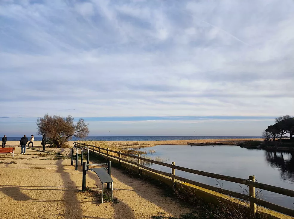 Estudi en venda a Platja d'Aro